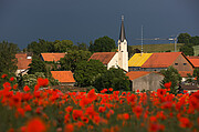 Bildinhalt: Mohnfeld vor Oberbrunn