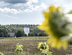 Abbildung: ein Foto der Reismühle in Gauting