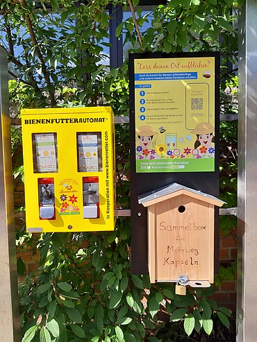 Bienenautomat