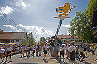 Bildinhalt: Maibaumaufstellen in Unterbrunn