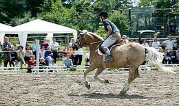 Bildinhalt: Rodeo 